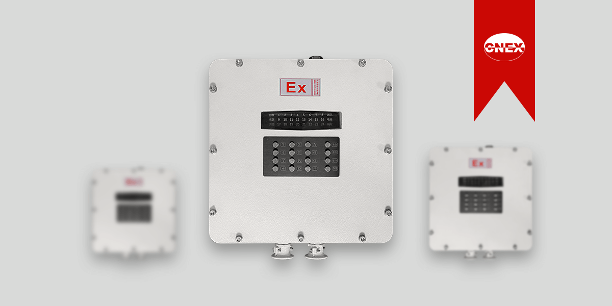 防爆控制器：AL-238P