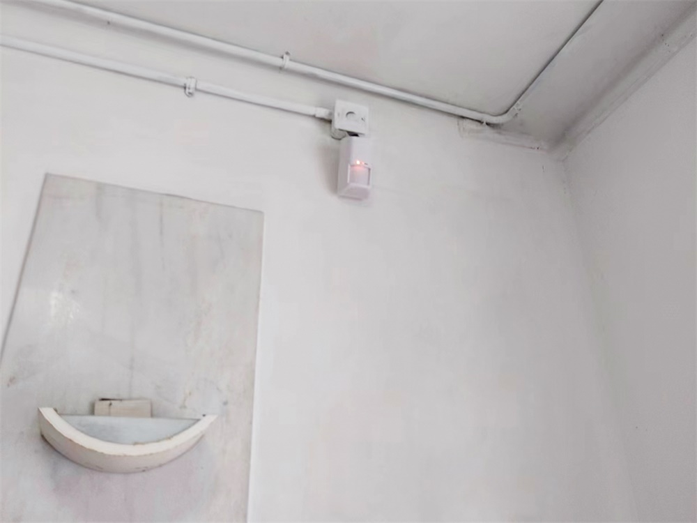 艾礼安如何为古建筑筑牢 “隐形防线”? 艾礼安如何为古建筑筑牢 “隐形防线”?