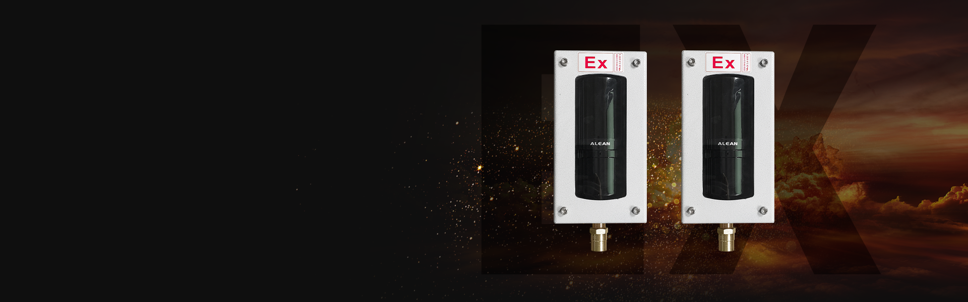 Ex系列防爆红外对射